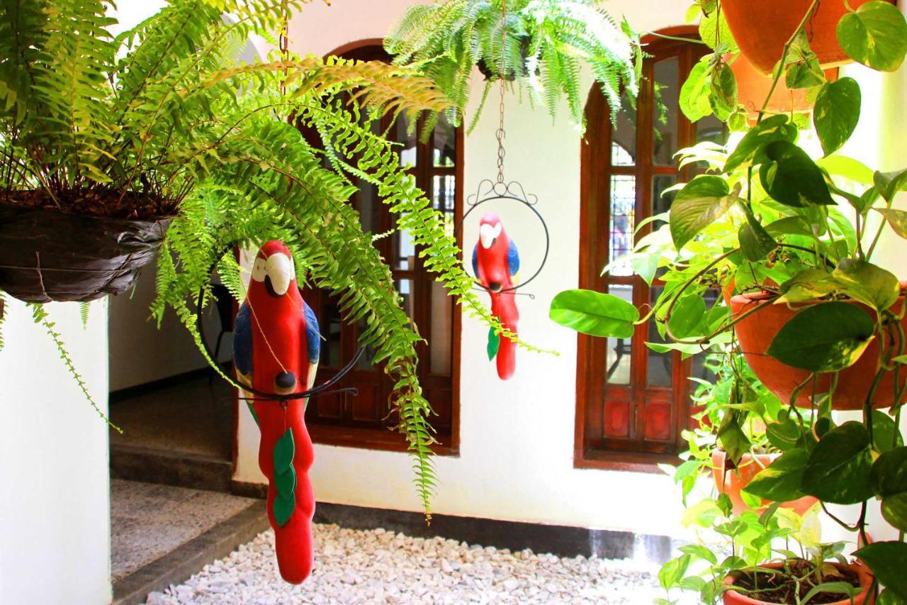La Guaca Hostel Santa Marta - Santa Marta (Magdalena) — Fotos 2
